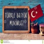 اصطلاحات کاربردی زبان ترکی استانبولی